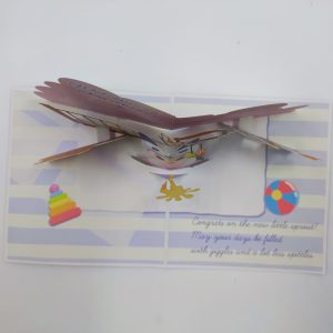 New Baby Surprise - Image 3